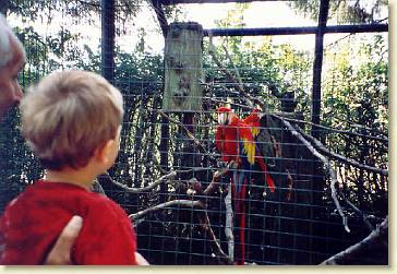 20060715-01 Kijken bij de papagaai